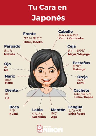 Aprende las diferentes partes de la cara en japon s