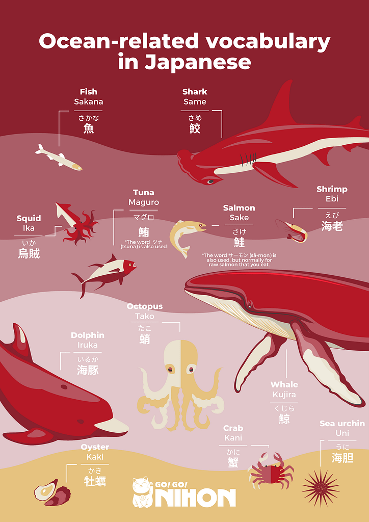 Ocean-related vocabulary infographic in English