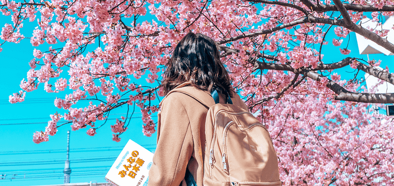 A girl carrying a. back pack and holding a book under a cherry blossom tree.