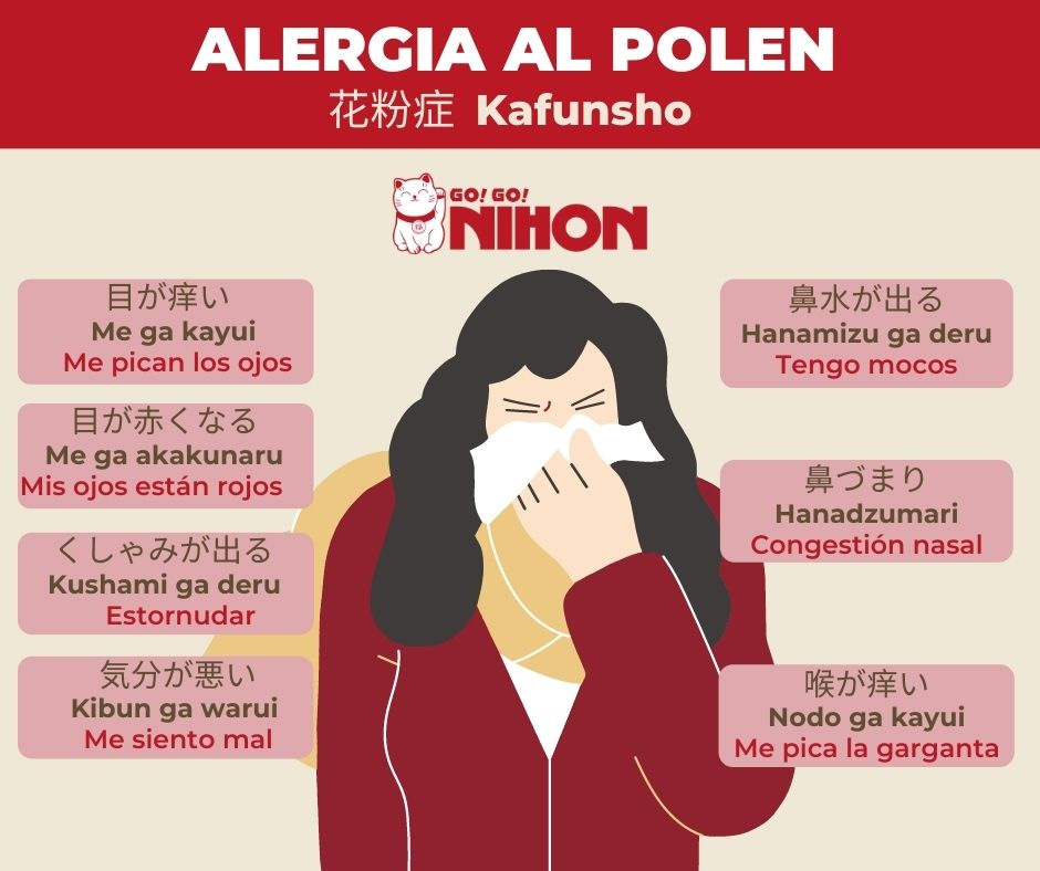 Hay fever infographic Spanish