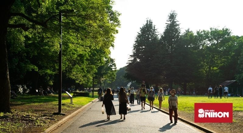 Leute spazieren im Yoyogi Park