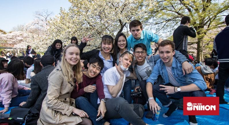 Students at a hanami cherry blossom party