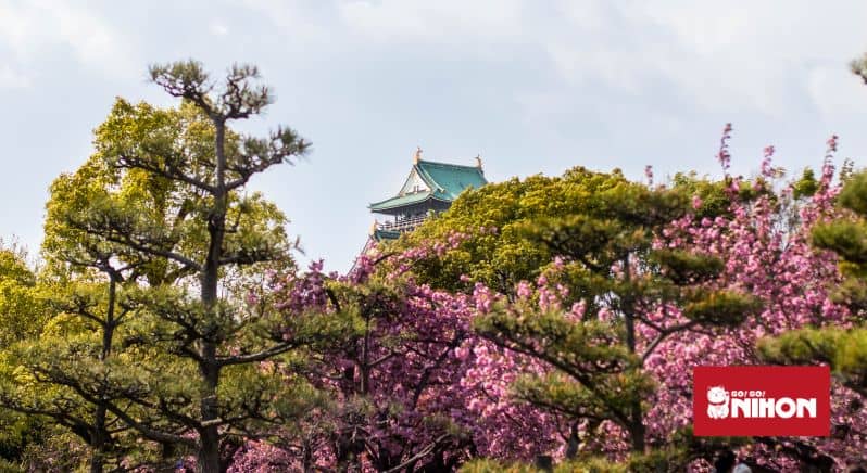 Image of the top of Osaka castle peeking out from behind some trees and cherry blossoms