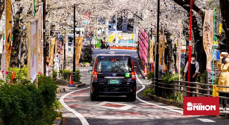 magem de um táxi dirigindo sob cerejeiras em flor no Japão.