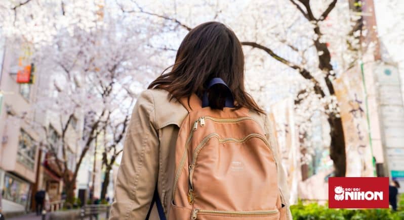 Estudante que veio estudar no Japão em abril, olhando para árvores de cerejeira e carregando uma mochila
