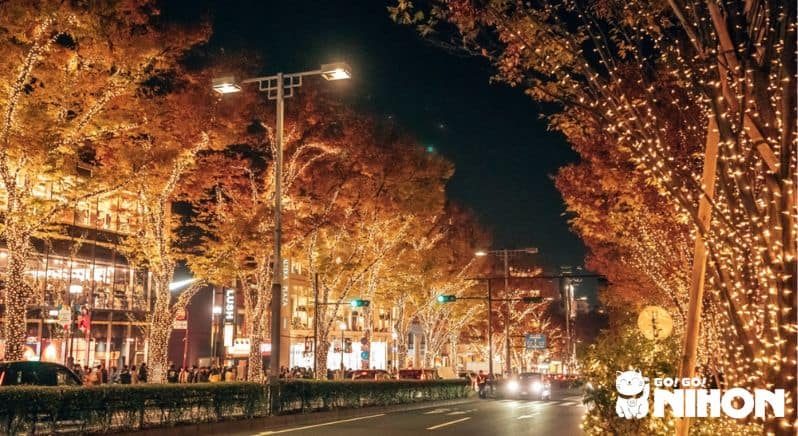 Omotesando-området i Tokyo med träd upplysta av ljusslingor. 