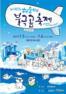 Busan Polar Bear Festival