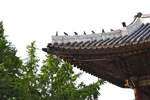 Jongmyo roof