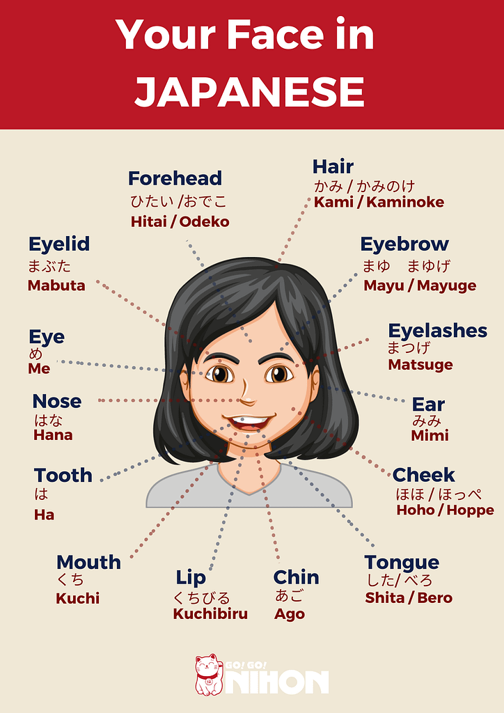 Let's learn the different parts of the face in Japanese