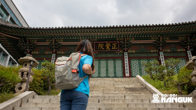 Options pour étudier en Corée à long et court termes
