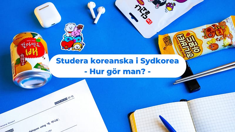 Studera koreanska i Sydkorea