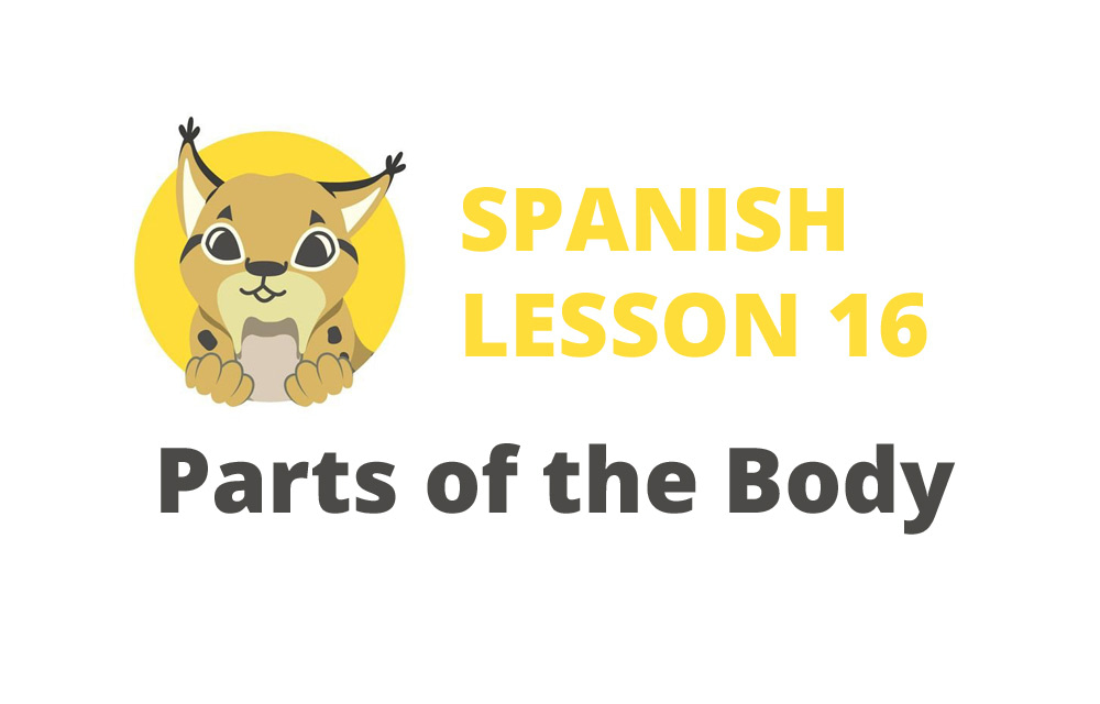 Parts Of The Body In Spanish Spanish Lesson 16 Go Go España 1244