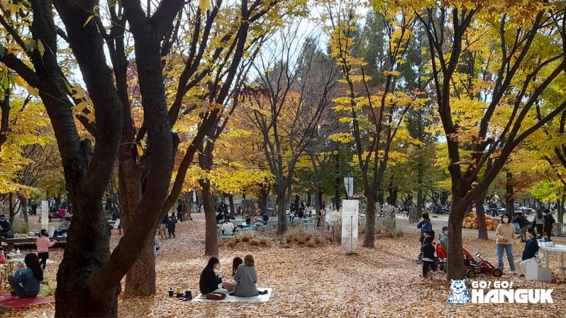Attractions gratuites à visiter à Séoul - Forêt de Séoul
