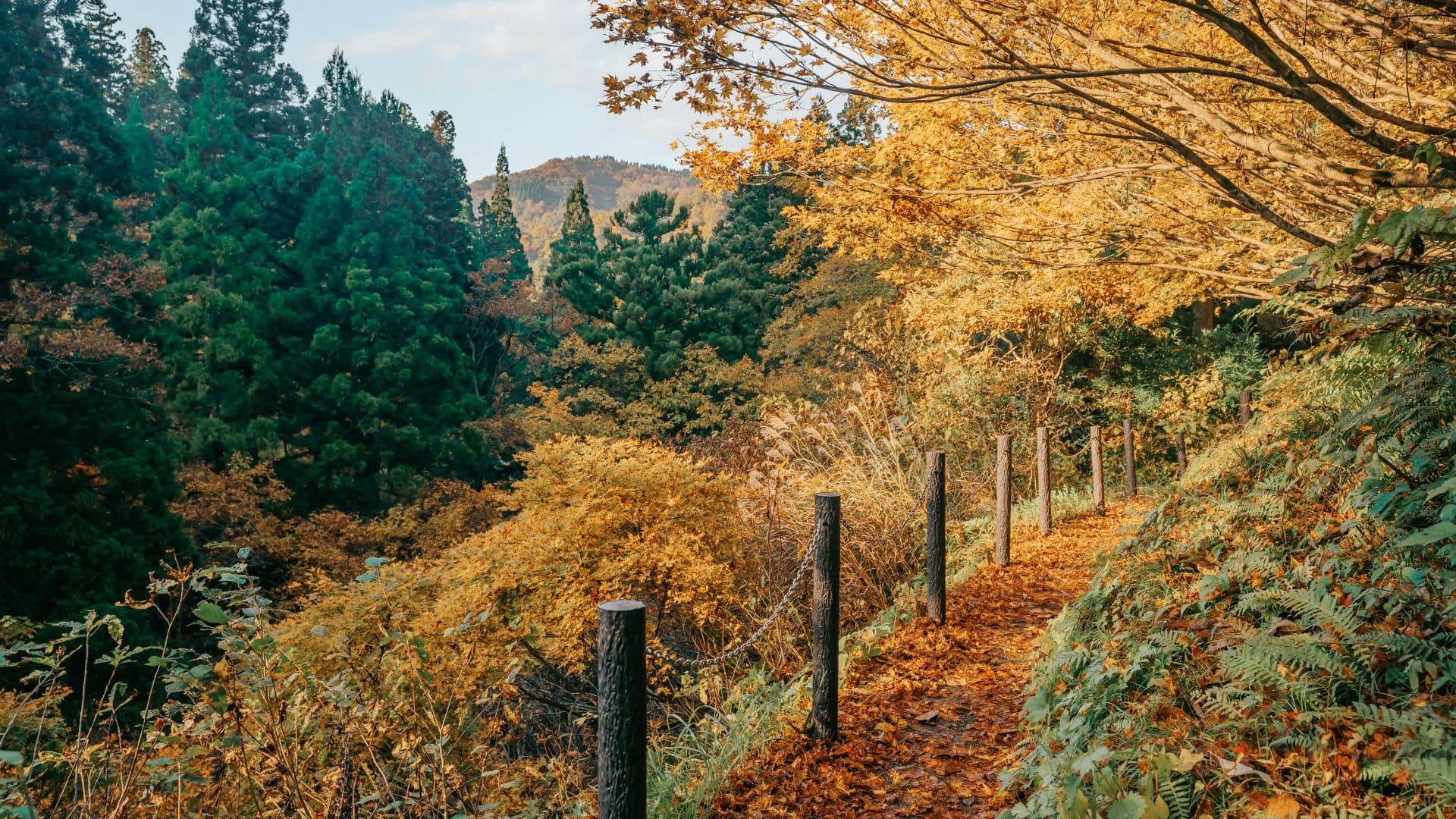 Hiking in South Korea Go Go Hanguk