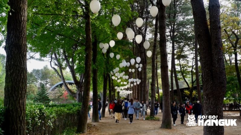 fin park du kan besöka under dina studier i sydkorea